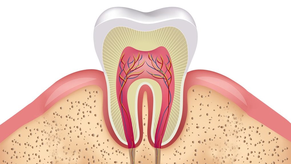 Entzündetes Zahnfleisch: Symptome